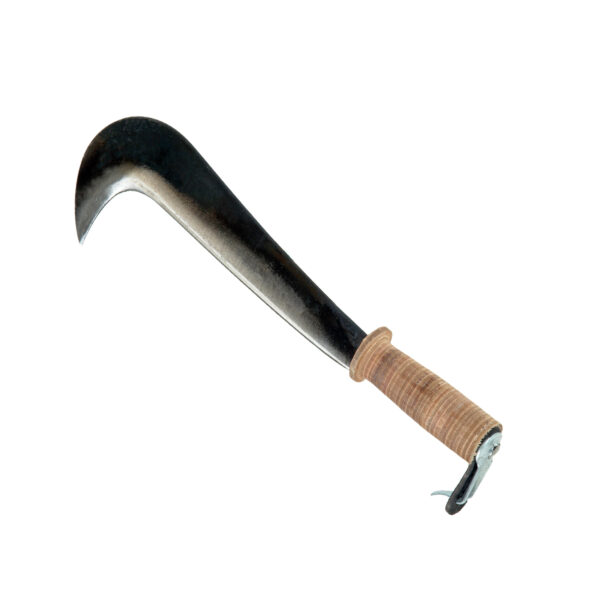 Roncola